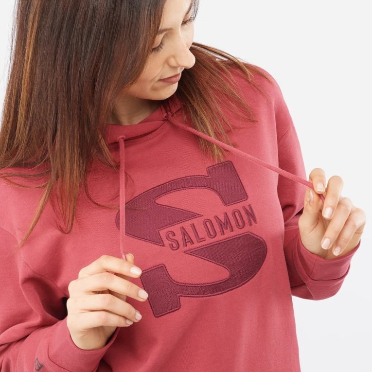 Moletom Salomon Outlife Logo Summer Feminino Vermelhas | PT P31495